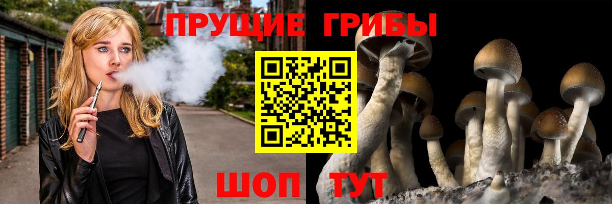 Амурск  Псилоцибиновые грибы мухоморы  Вход с VPN 