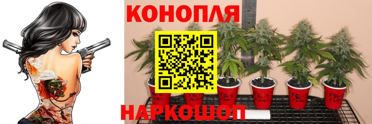 МАРИХУАНА семена  Вход с VPN  Каннабис Amnesia  Амурск  Каннабис план  Каннабис ГИДРОПОН 